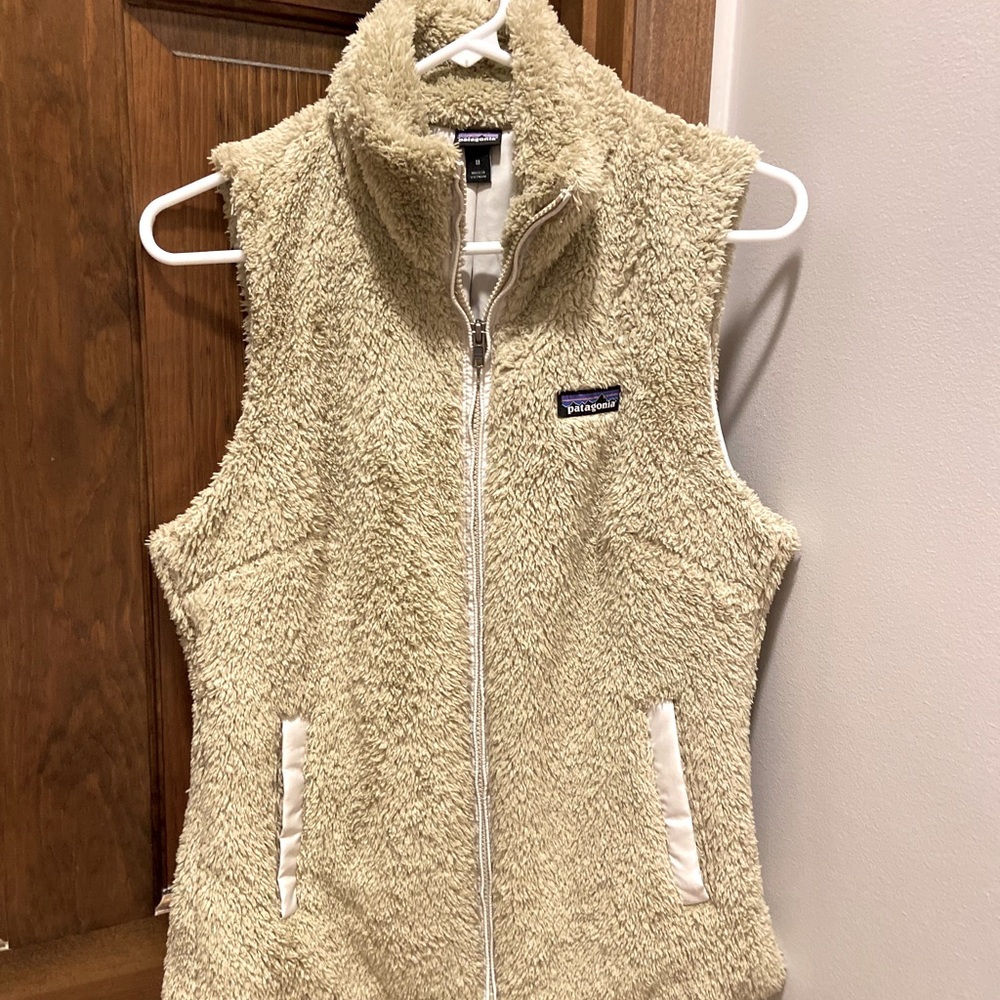Patagonia vest